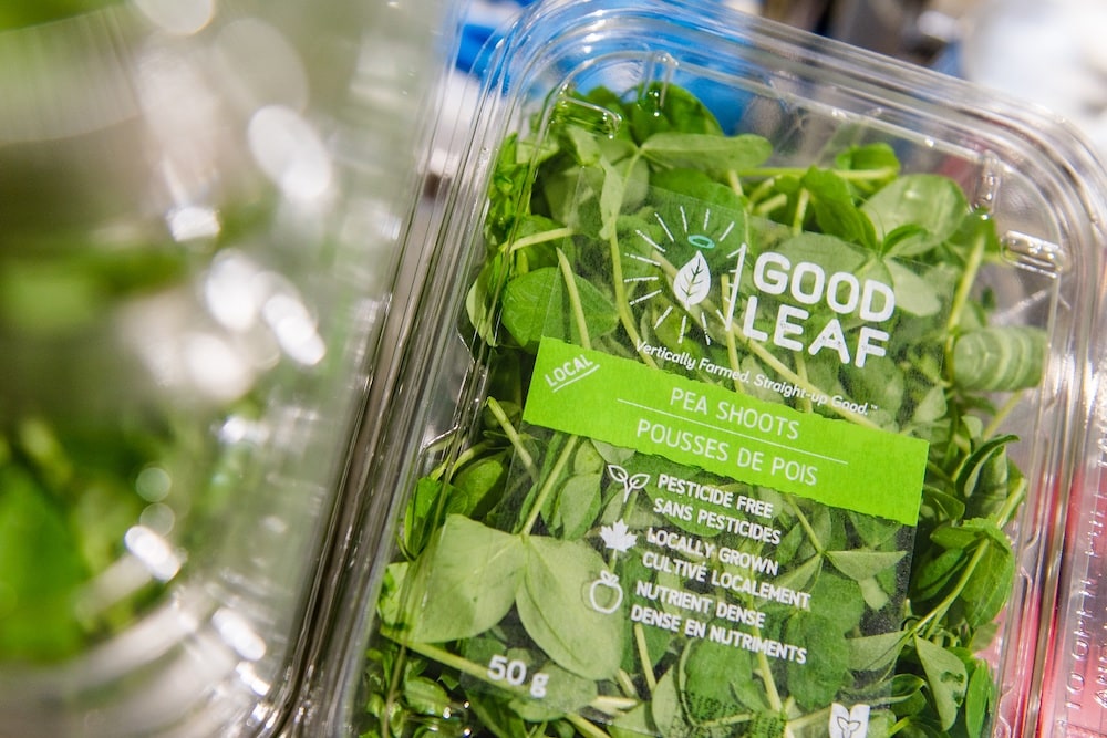 La iluminaci&oacute;n LED de Signify aumenta la producci&oacute;n de alimentos