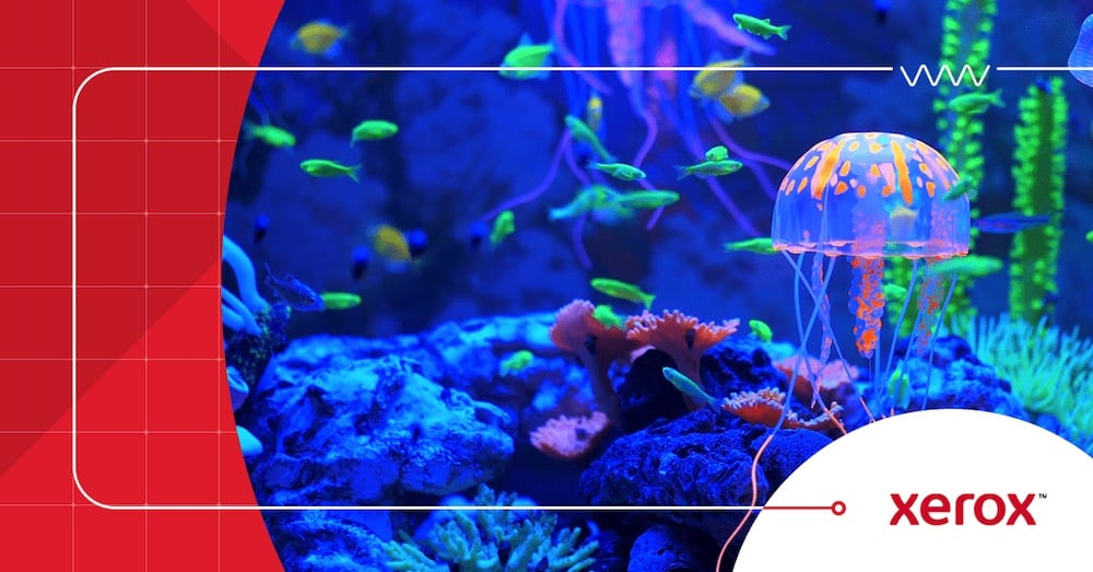 Xerox hace accesible los colores fluorescentes para todos