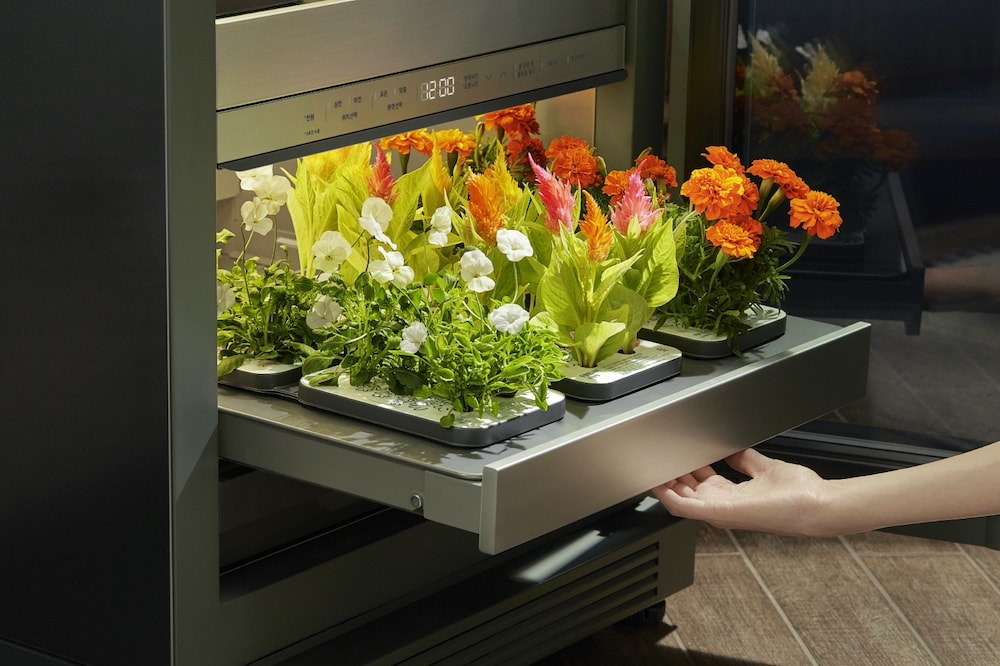 LG tiiun, moderno electrodoméstico de jardinería