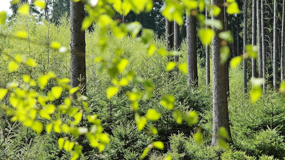 CES 2022: Samsung y los electrodom&eacute;sticos ecol&oacute;gicos