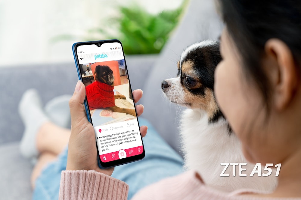 Apps que todo petlover debe tener en su celular