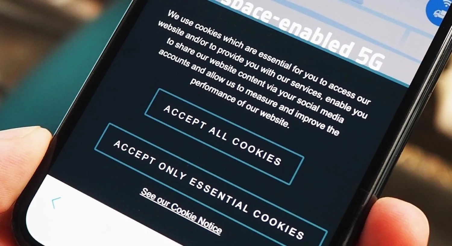 Las cookies en páginas web: ¿Debemos aceptarlas?
