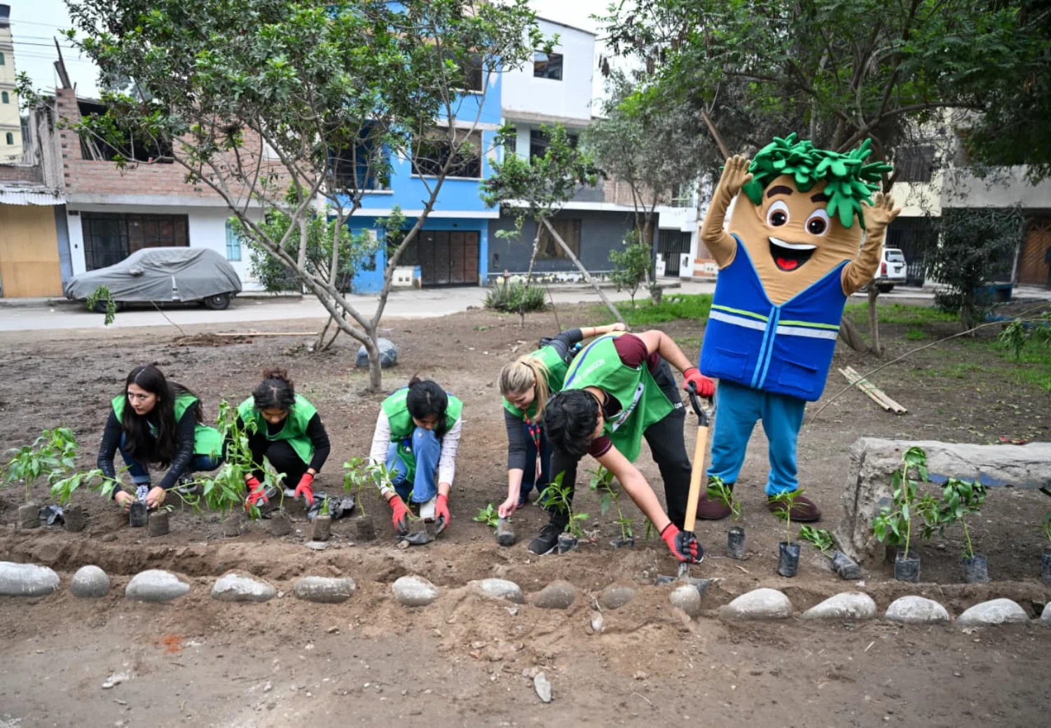 Lima Verde alcanzará un millón de árboles el 1 de septiembre